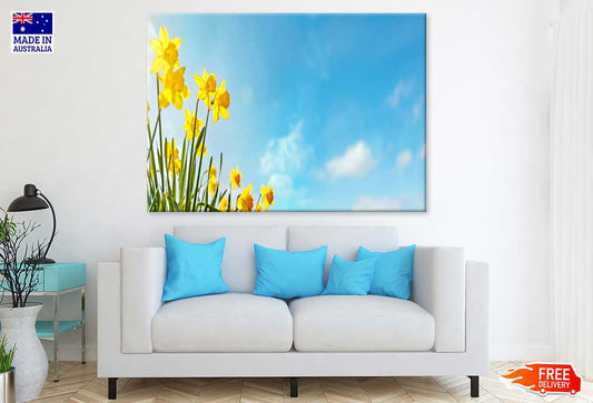 Yellow Daffodils Flowers Sky View Photograph Print 100% Australian Made