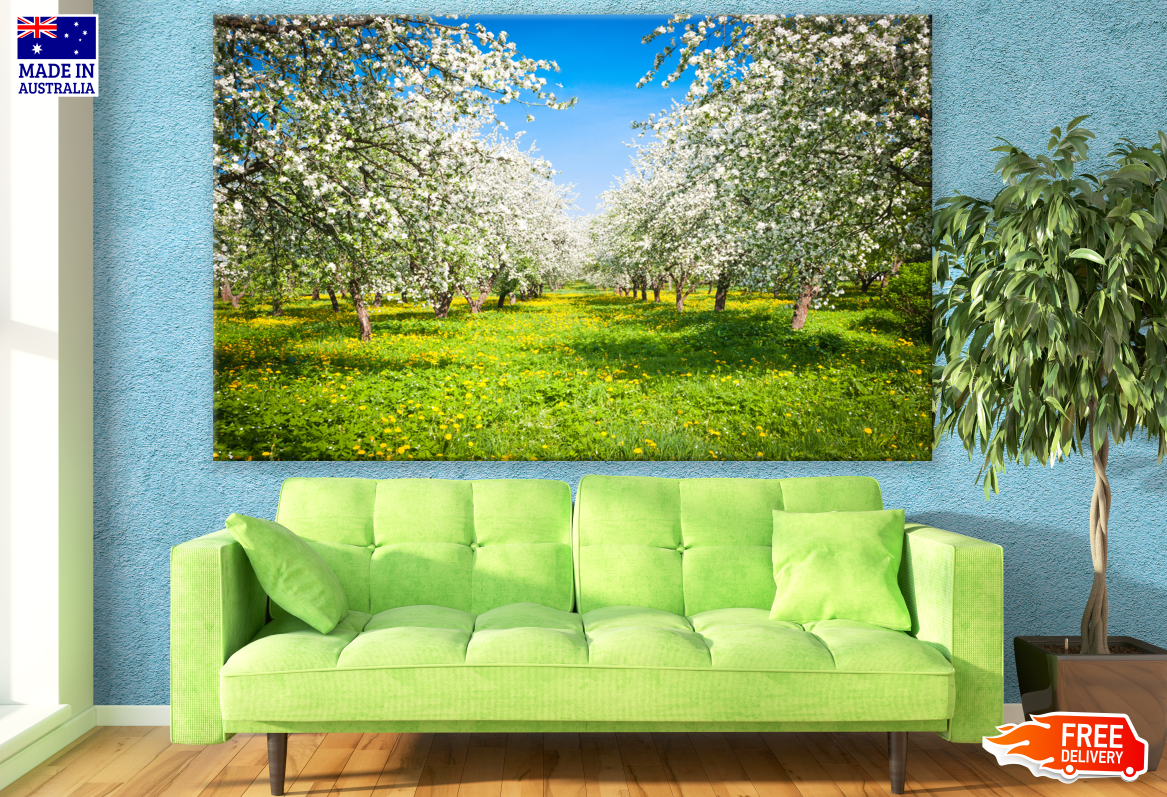 Stunning Flower Tree Garden Photograph Print 100% Australian Made