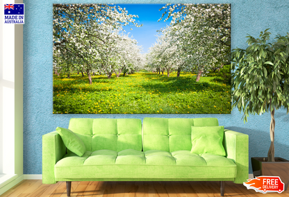 Stunning Flower Tree Garden Photograph Print 100% Australian Made