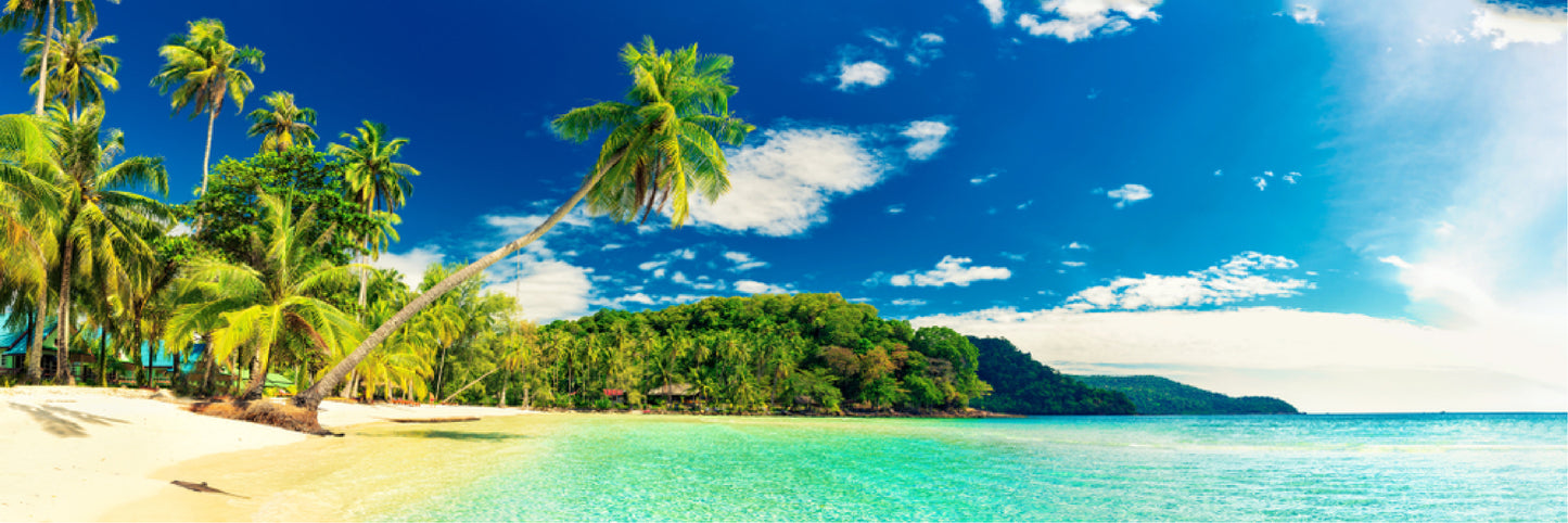 Panoramic Canvas Paradise Tropical Beach Trees Photograph High Quality 100% Australian made wall Canvas Print ready to hang