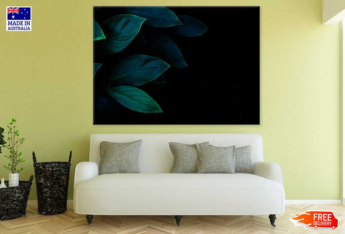 Green Leaves on Dark Photograph Print 100% Australian Made