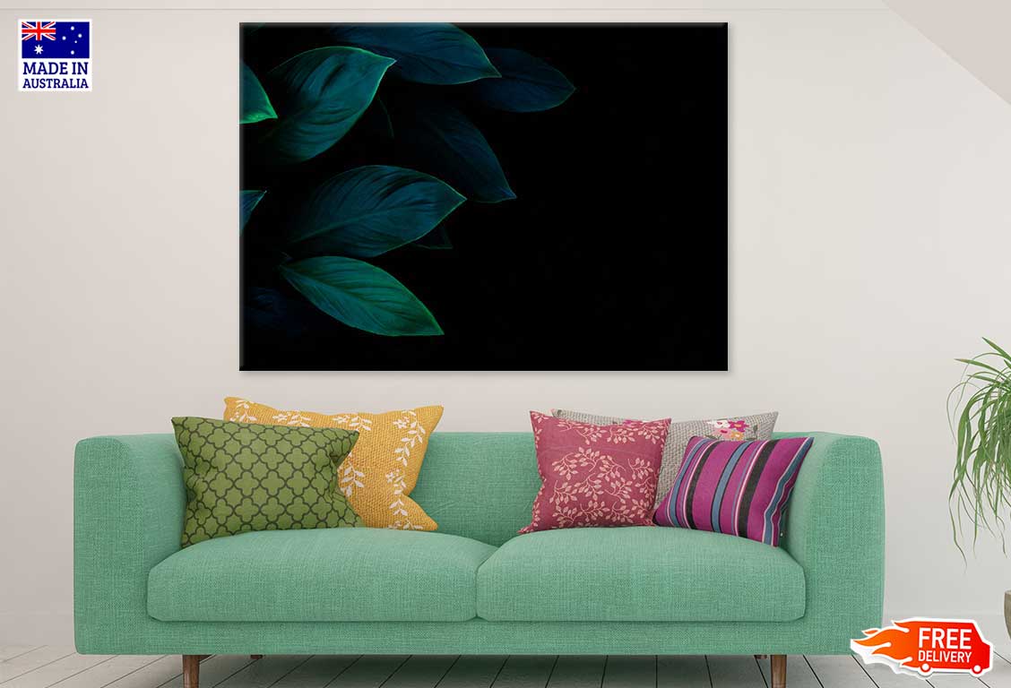 Green Leaves on Dark Photograph Print 100% Australian Made