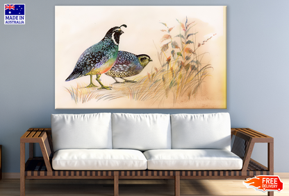 Watercolour Quail Birds Painting Print 100% Australian Made