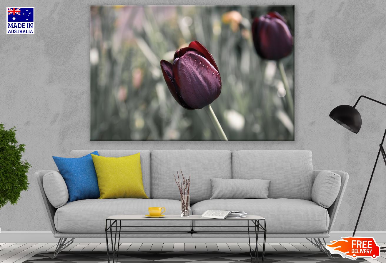 Maroon Tulip Flower Closeup Photograph Print 100% Australian Made