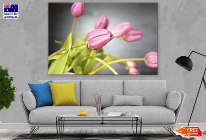 Pink Tulip Flowers Plant Photograph Print 100% Australian Made