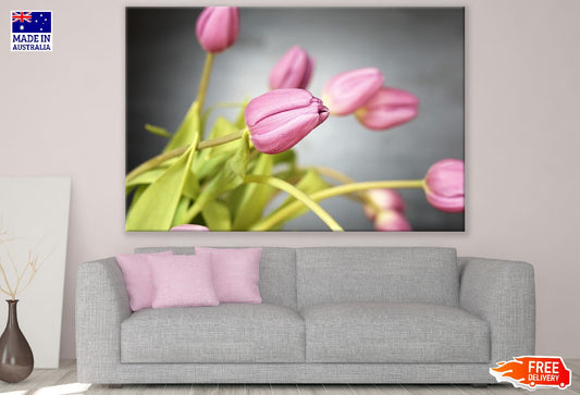 Pink Tulip Flowers Plant Photograph Print 100% Australian Made