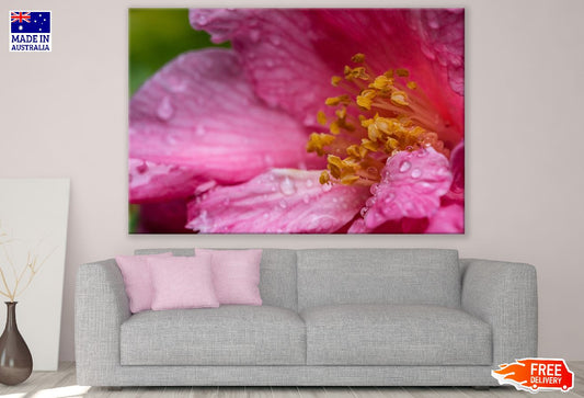 Pink Flower MAcro Closeup Photograph Print 100% Australian Made