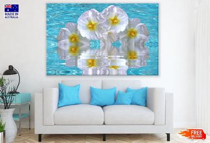 White & Yellow Hibiscus Flowers in Water Photograph Print 100% Australian Made
