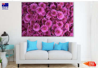 Purple Chrysanthemum Flowers Photograph Print 100% Australian Made