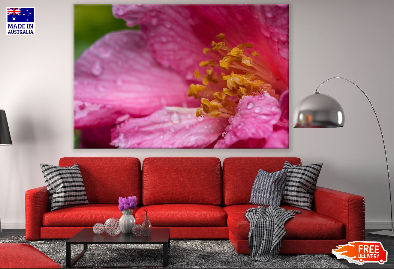 Pink Flower MAcro Closeup Photograph Print 100% Australian Made