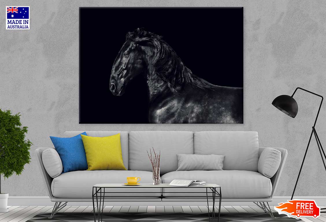 Black Horse View B&W Photograph Print 100% Australian Made