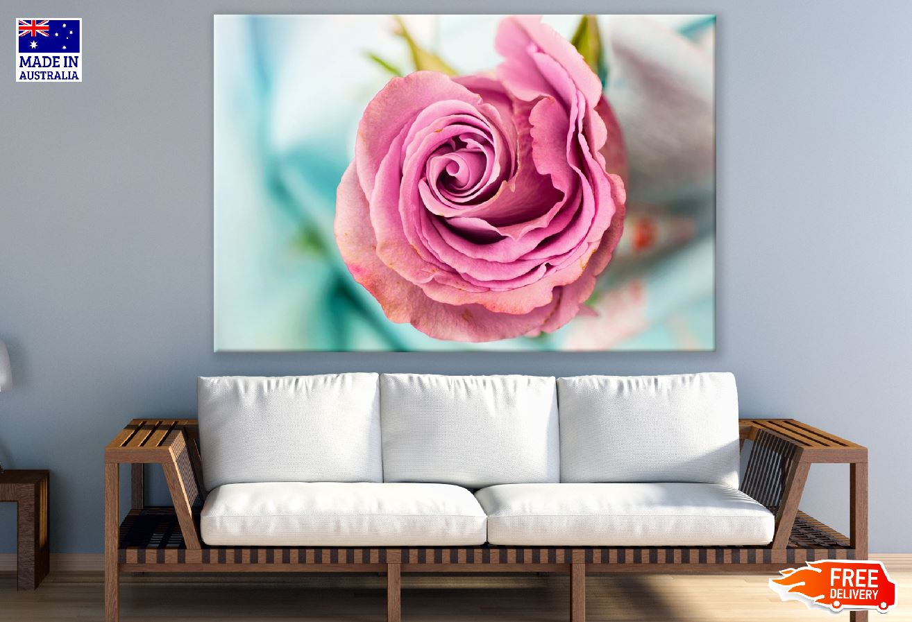 Rose Petals & Rose Closeup Photograph Print 100% Australian Made
