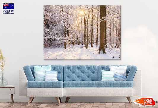 Snow Covered Trees Barks Sunset View Photograph Print 100% Australian Made