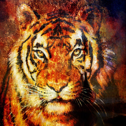 Square Canvas Tiger Portrait Oil Painting High Quality Print 100% Australian Made