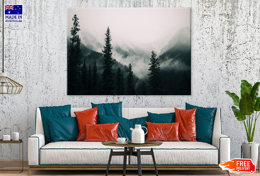 Tall Tree Forest Mountains & Fog Photograph Print 100% Australian Made