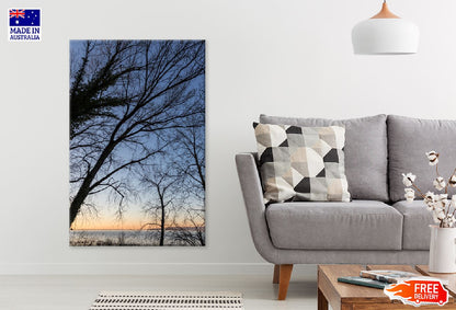 Dead Trees Silhouette Sunset View Photograph Print 100% Australian Made