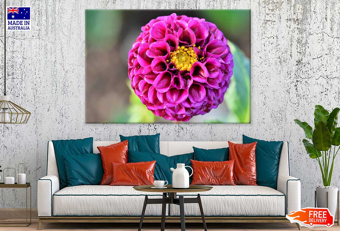 Purple Dahlia Flower Closeup View Photograph Print 100% Australian Made