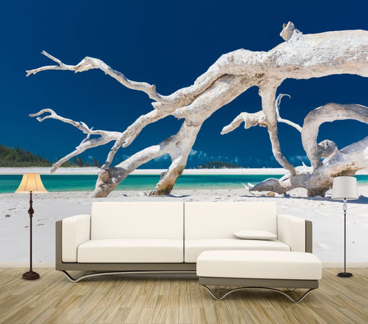 Wallpaper Murals Peel and Stick Removable Dead White Tree on Beach Photograph High Quality