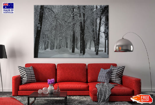 Trees Covered with Snow Forest Photograph Print 100% Australian Made