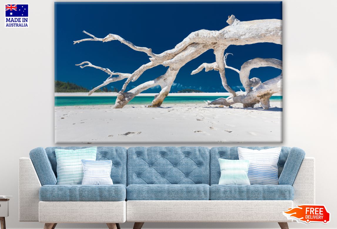 Dead Tree on White Sand Beach Photograph Print 100% Australian Made