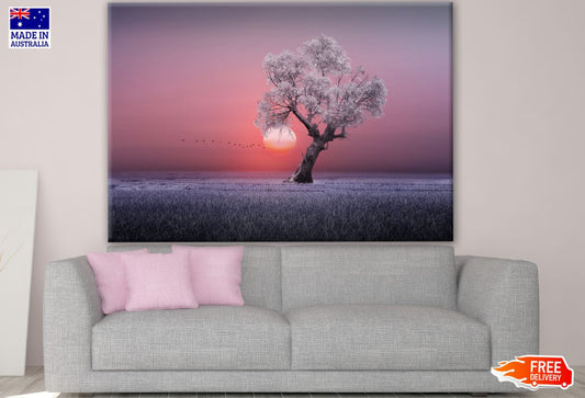 Tree on a Grass Field with Sunset View Photograph Print 100% Australian Made