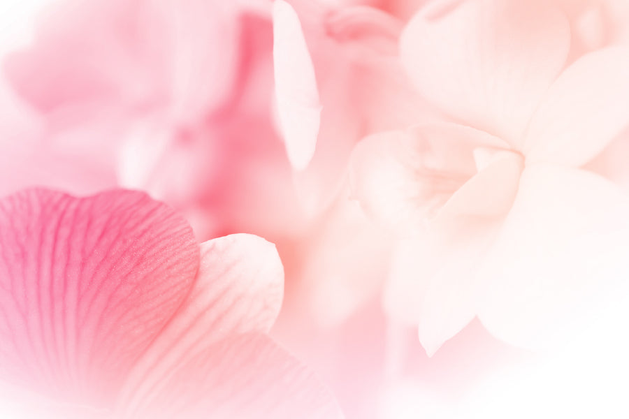 Pink Orchid Petals Closeup View Photograph Print 100% Australian Made
