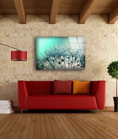 Dandelion Flowers with Water Drops Photograph Acrylic Glass Print Tempered Glass Wall Art 100% Made in Australia Ready to Hang