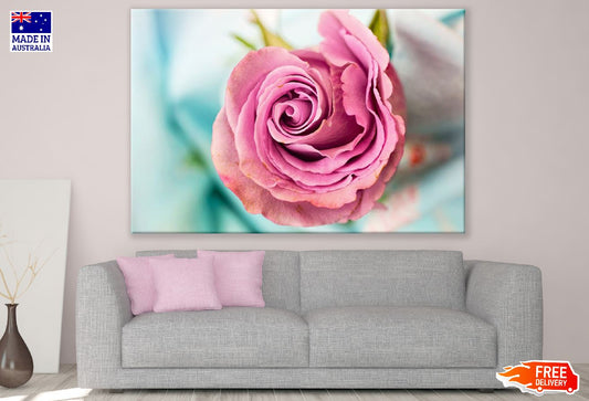 Rose Petals & Rose Closeup Photograph Print 100% Australian Made