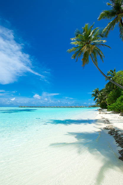 Maldives Island with Beach View Photograph Print 100% Australian Made