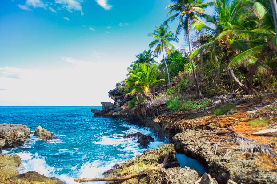 Bella Home Palm Trees & Sea Landscape View Print Canvas Ready to hang