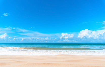 Tropical Beach & Blue Sky Scenery Photograph Print 100% Australian Made