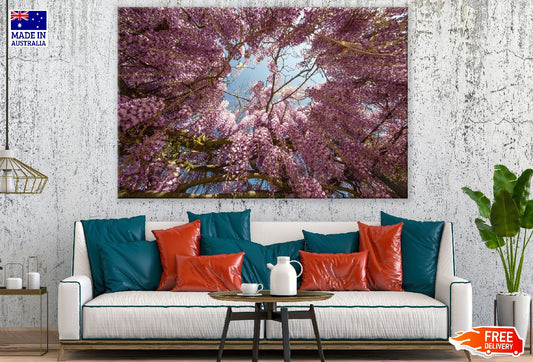 Pink Wisteria Flowers Tree Photograph Print 100% Australian Made