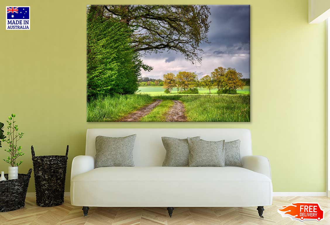 Forest Scenery Photograph Print 100% Australian Made