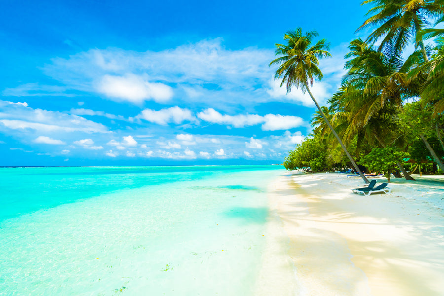 Tropical Beach in Maldives Island View Photograph Print 100% Australian Made