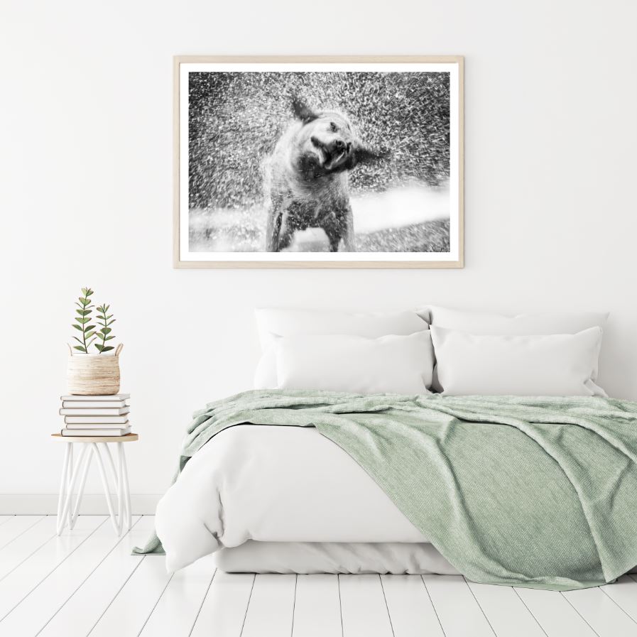 Dog B&W Photograph Home Decor Premium Quality Poster Print Choose Your Sizes