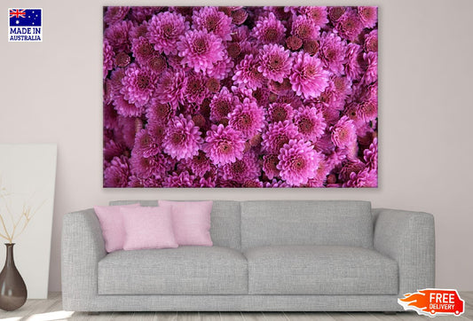 Purple Chrysanthemum Flowers Photograph Print 100% Australian Made