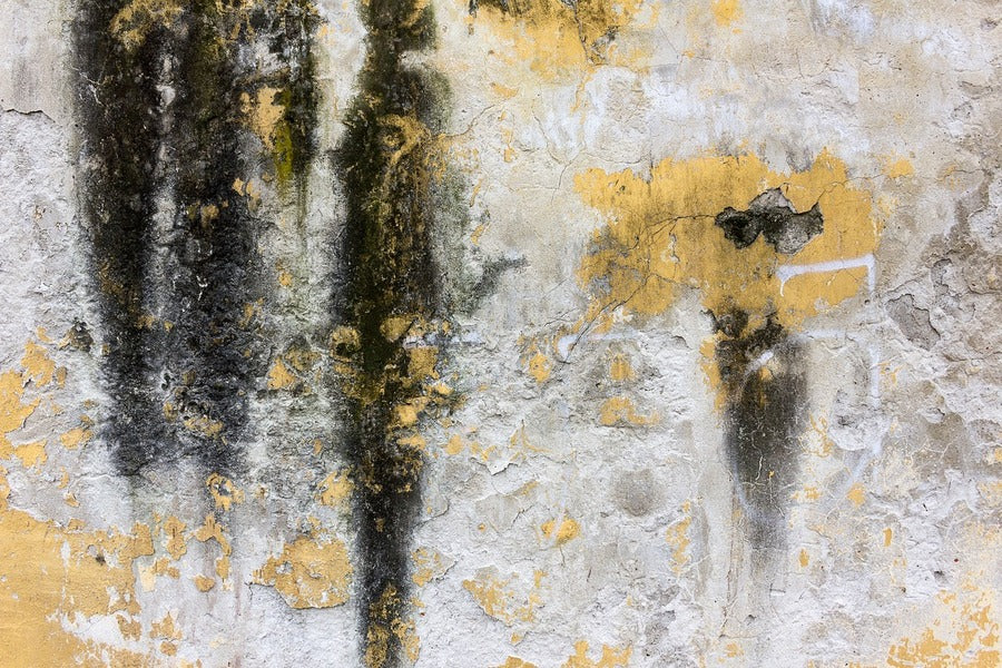 Black & Gold Abstract Design Print 100% Australian Made