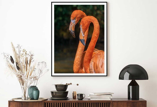 Flamingo Birds Portrait Closeup View Photograph Home Decor Premium Quality Poster Print Choose Your Sizes