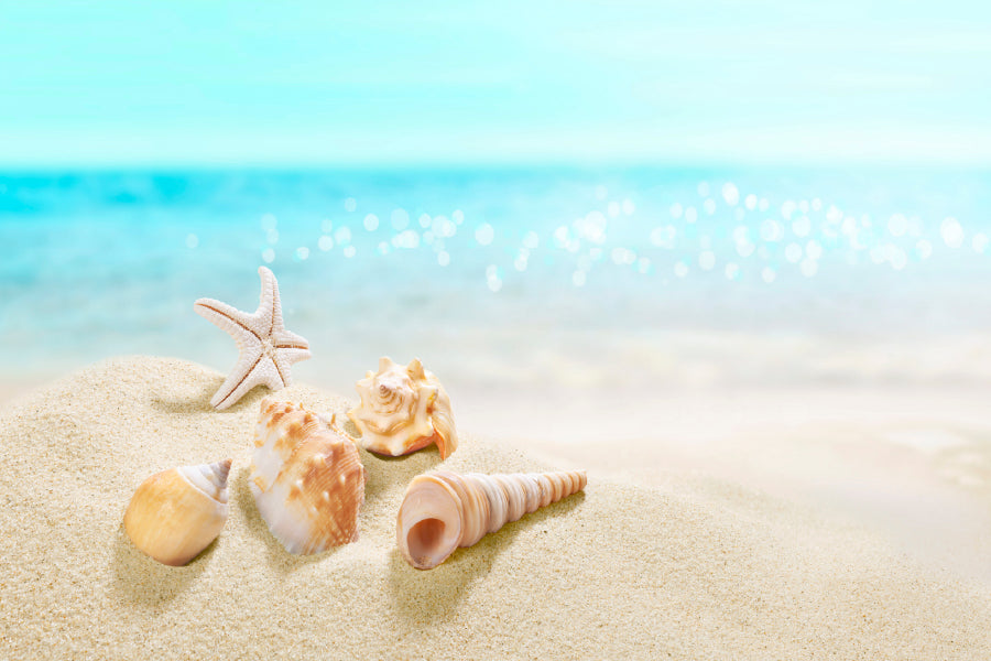 Sea Shells on Beach Sand Closeup Photograph Home Decor Premium Quality Poster Print Choose Your Sizes