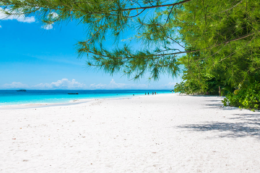 Summer Sandy Sea & Blue Sky View Photograph Home Decor Premium Quality Poster Print Choose Your Sizes