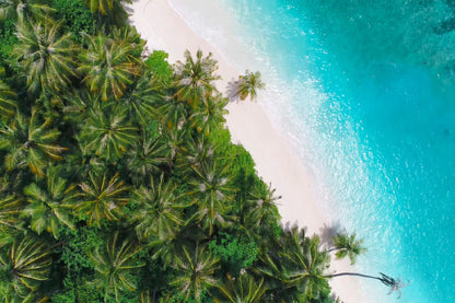 Palm Trees on Sandy Sea Aerial View Photograph Print 100% Australian Made