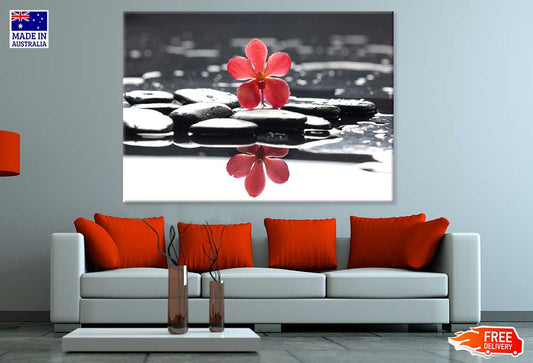 Red Flower on Water Photograph Print 100% Australian Made