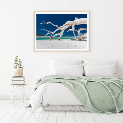 Dead Tree on Sea Shore Photograph Home Decor Premium Quality Poster Print Choose Your Sizes