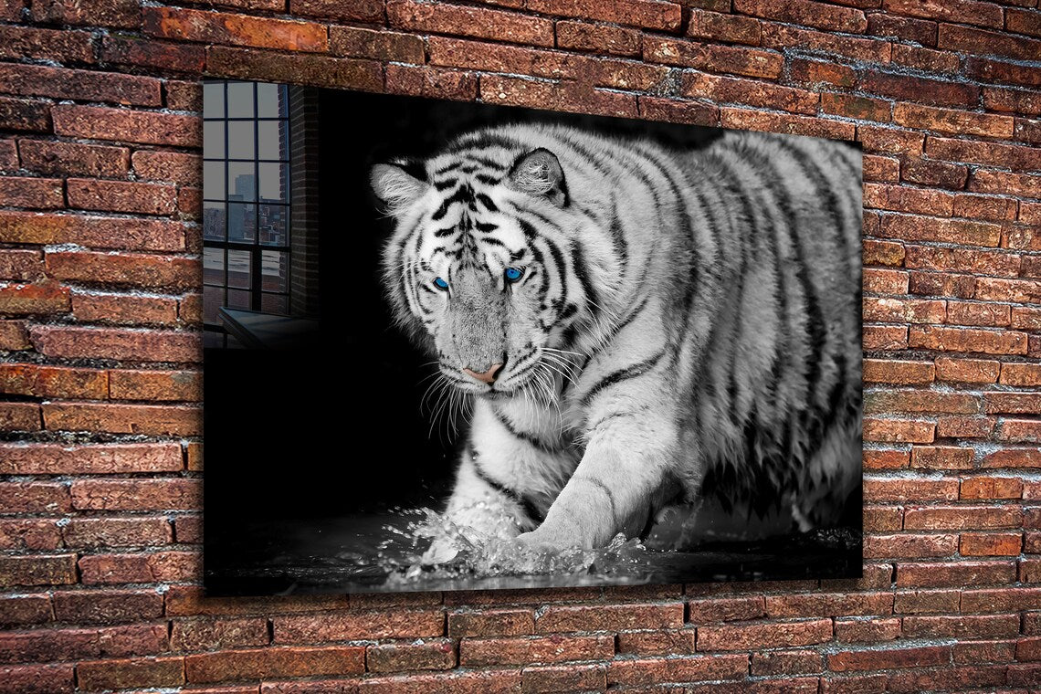 Tiger on Water B&W View Print Tempered Glass Wall Art 100% Made in Australia Ready to Hang