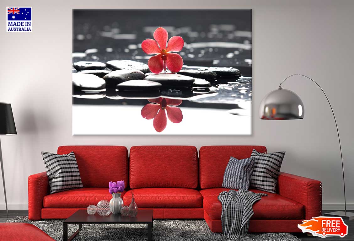 Red Flower on Water Photograph Print 100% Australian Made