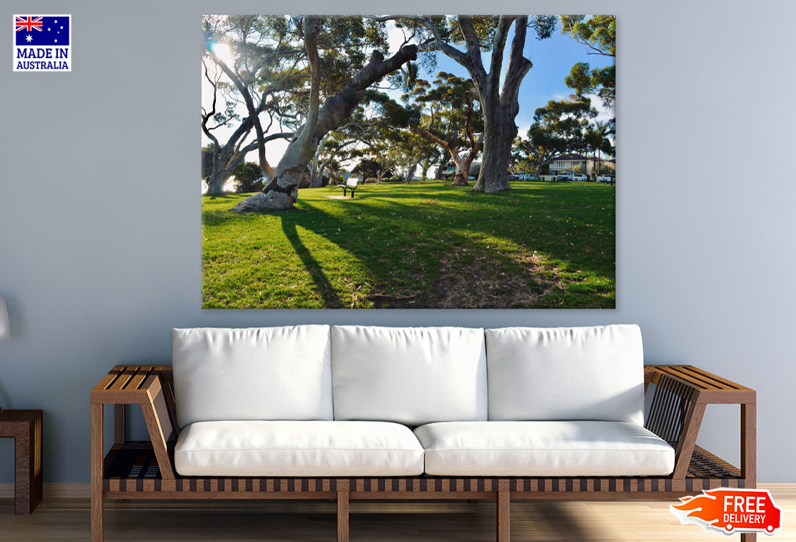 Nature Trees & Bench In Park Photograph Print 100% Australian Made