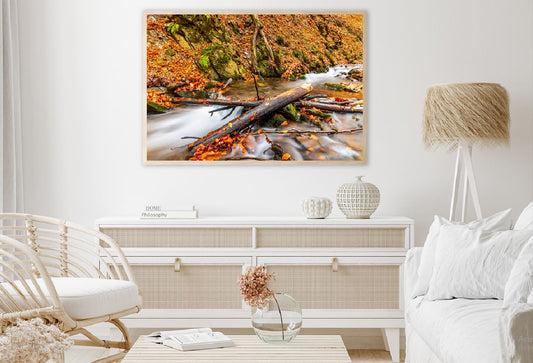 Small Waterfall & Autumn Forest View Photograph Home Decor Premium Quality Poster Print Choose Your Sizes