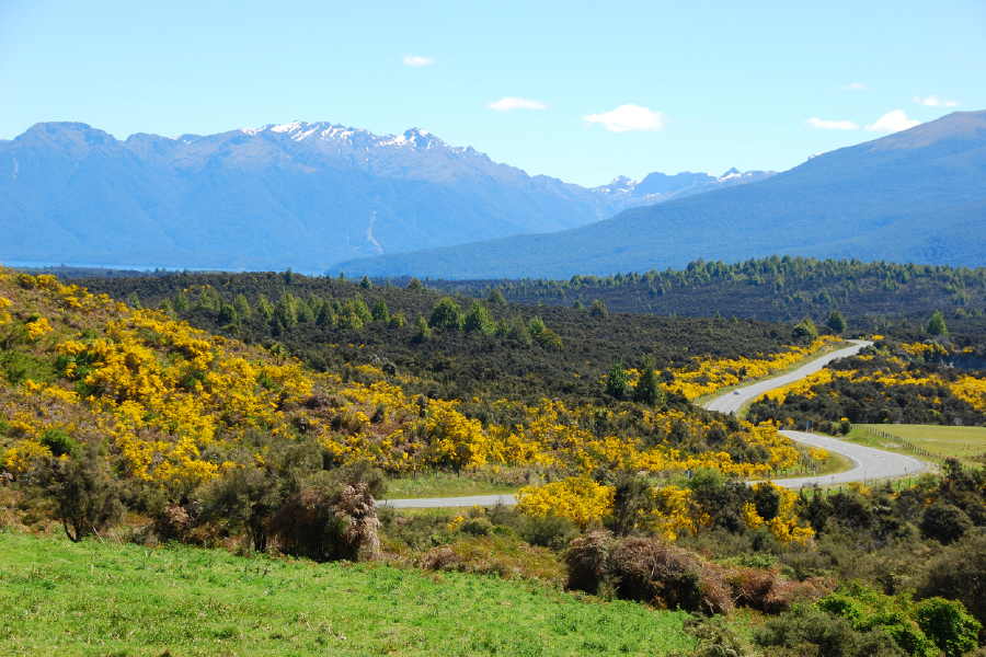 Autumn Trees & Mountain Scenery Print 100% Australian Made