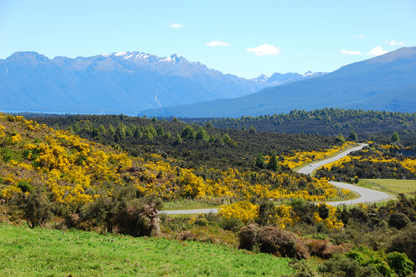 Autumn Trees & Mountain Scenery Print 100% Australian Made