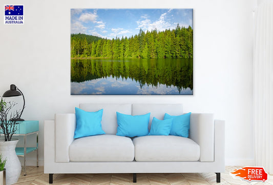 Green Trees Forest Near Lake View Photograph Print 100% Australian Made